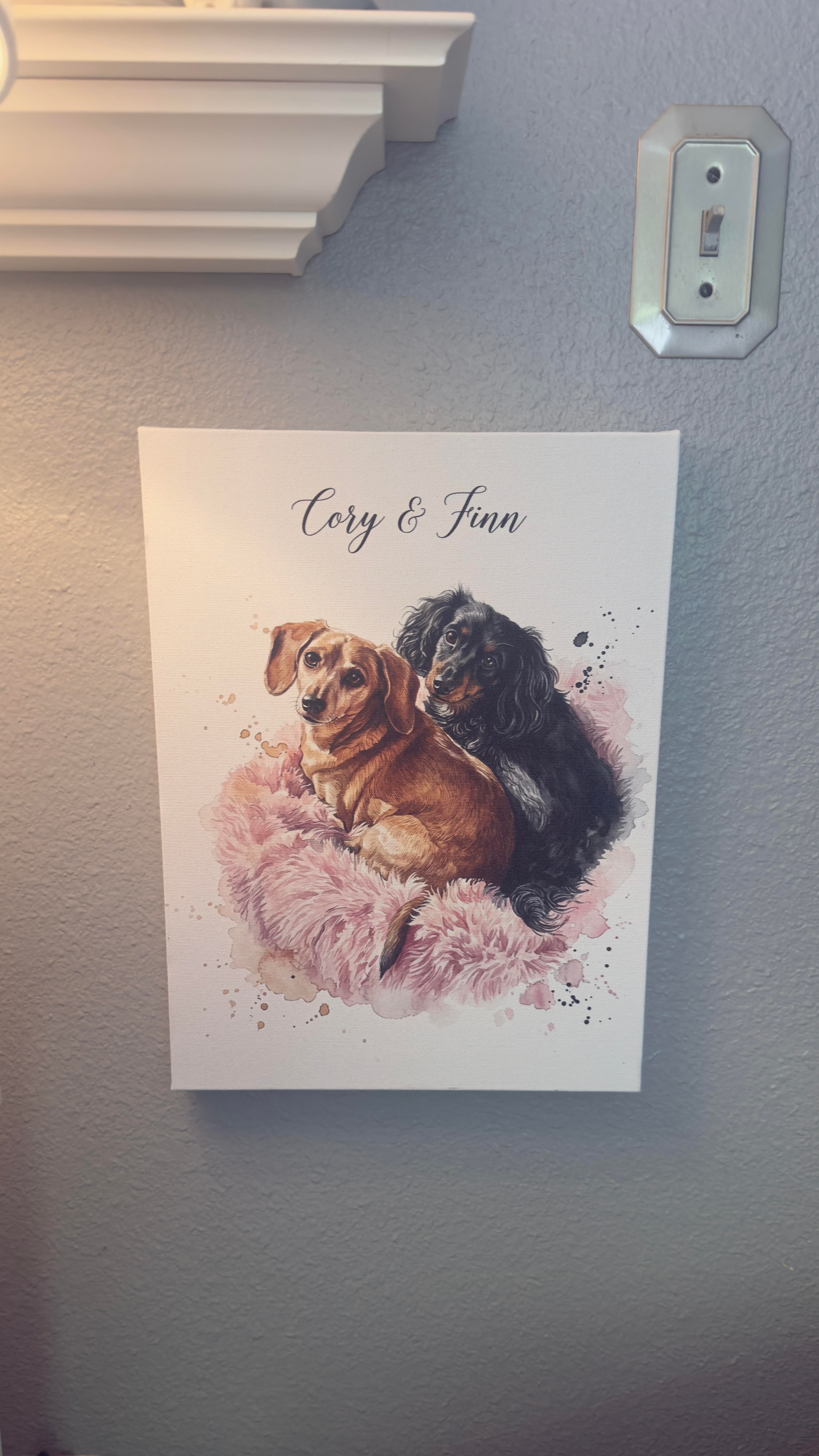 Tom S.'s portrait
